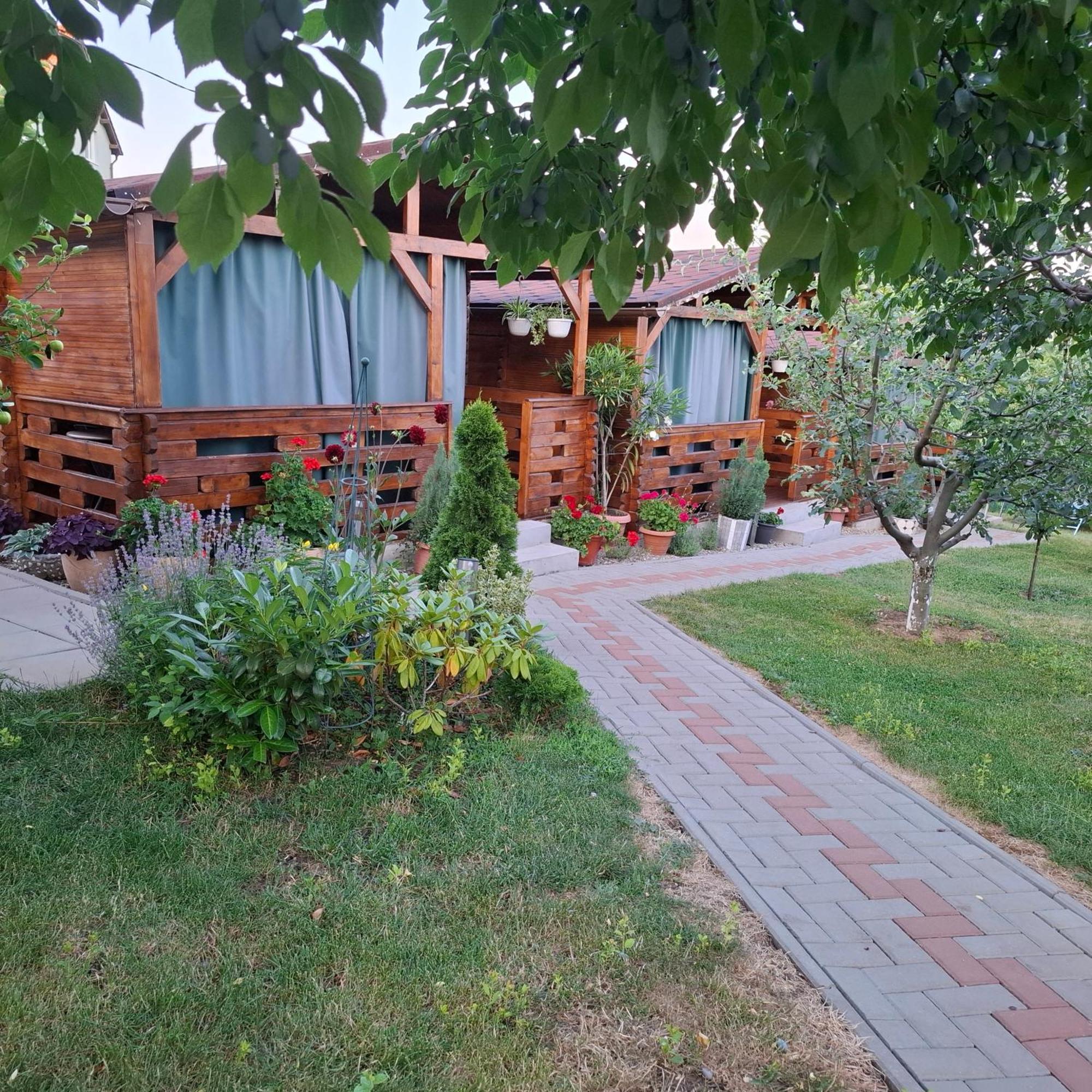 Casa Dina 民宿 Turda